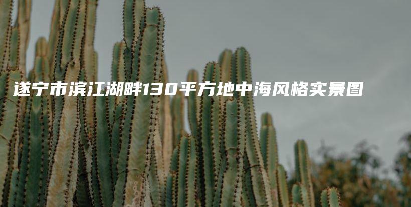 遂寧市濱江湖畔130平方地中海風(fēng)格實(shí)景圖