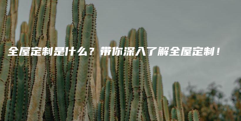 全屋定制是什么？帶你深入了解全屋定制！