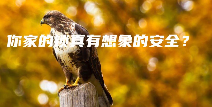 你家的鎖真有想象的安全？